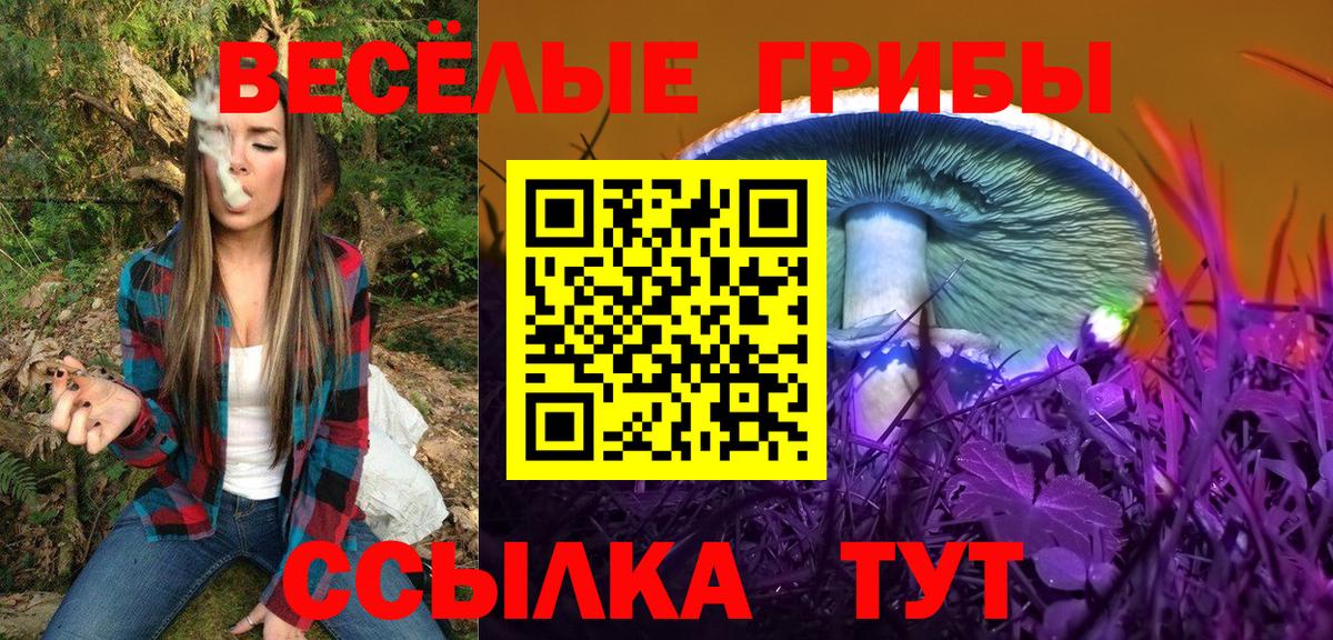 Галлюциногенные грибы мухоморы  Вход с VPN  Похвистнево  Галлюциногенные грибы GOLDEN TEACHER 