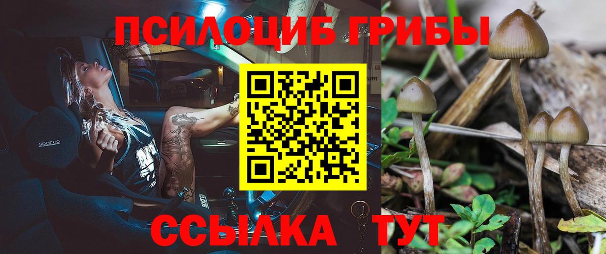 Галлюциногенные грибы Psilocybine cubensis Похвистнево